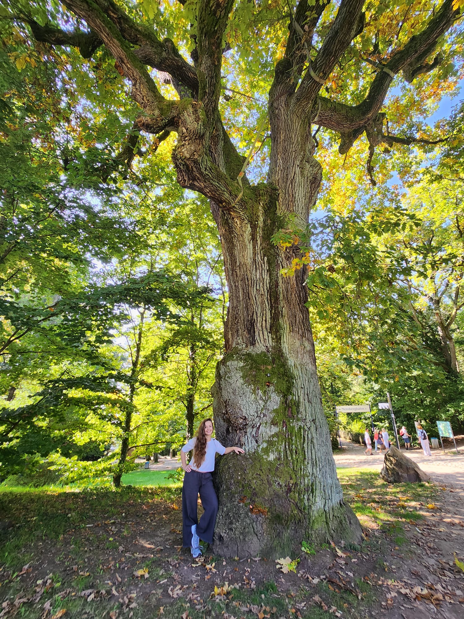23/09/2025, Germany – The trees teach us how beautiful letting go can be